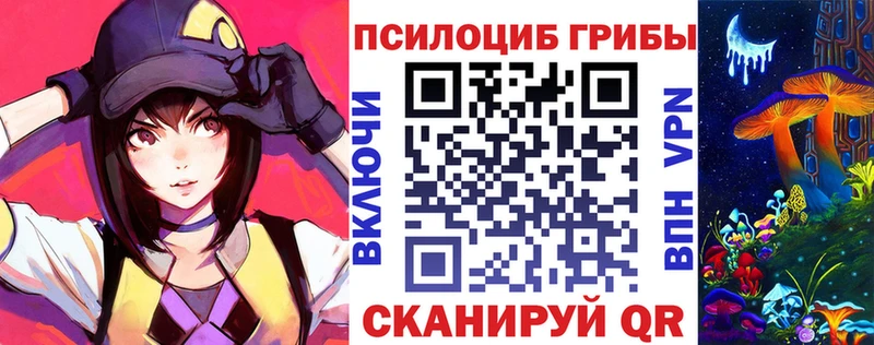Псилоцибиновые грибы Psilocybe  купить наркотик  Западная Двина 